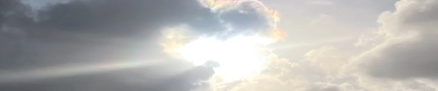 Voorkant Proefschrift Miljana Vukadin